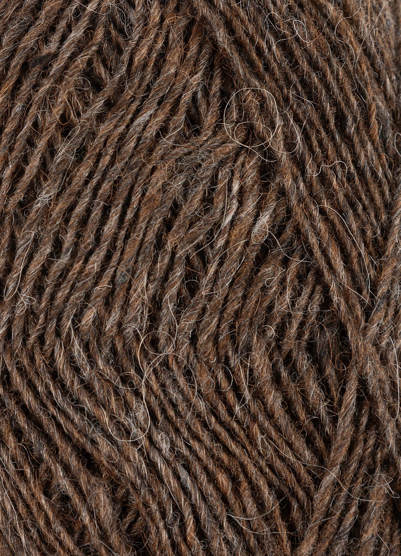 Fjallalopi - 3004- Ram