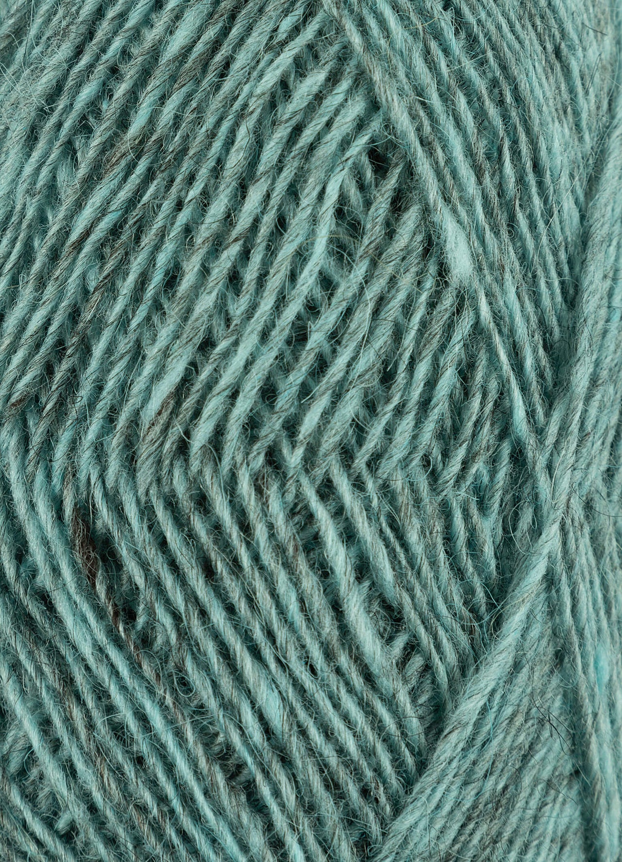 Fjallalopi - 3024 - Glacier Sand