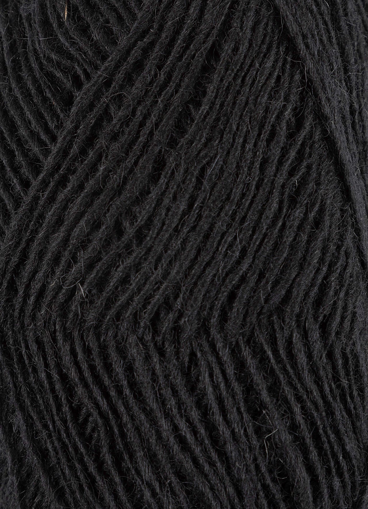 Fjallalopi  - 3059 - Raven Black