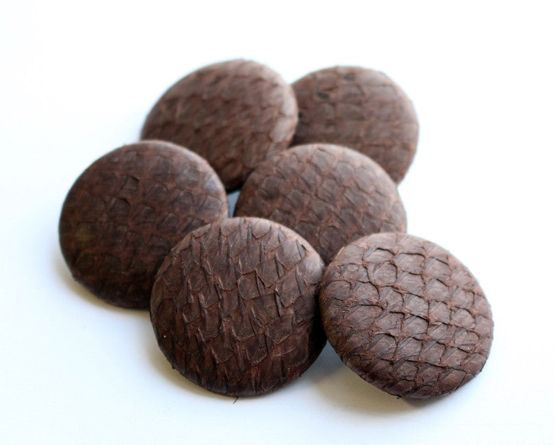 Brown Roð Buttons (Fish skin) - Álafoss - Since 1896